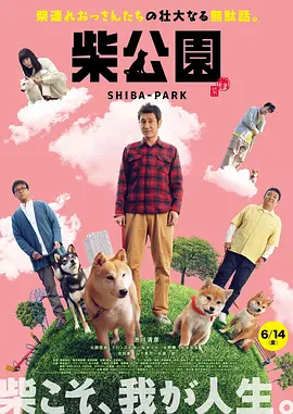 丝袜在线播放