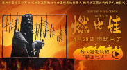 亚洲理论电影