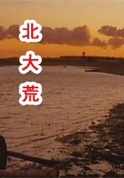 国产护士资源总站