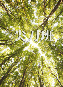 淫av
