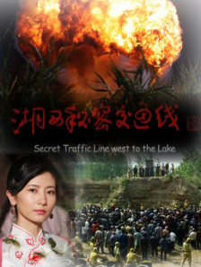 视频一区二区在线观看