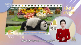 离异悲泣