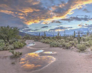 Plan a trip to Grand Canyon National Park with our travel tips. Learn about the best time to visit, activities to do, and more.