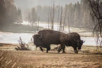 Explore the top 10 US national parks for breathtaking landscapes, adventure, and wildlife. Get tips and insights for your next outdoor escape.