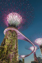 Explore Singapore with essential travel tips, including the best time to visit, transportation, budgeting, top attractions, and local cuisine.