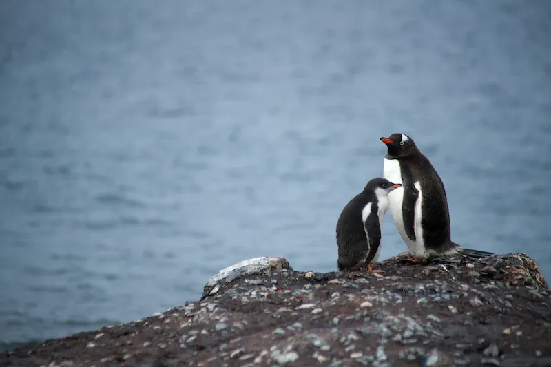 Dive into Earths extremes: breathtaking yet forbidding.